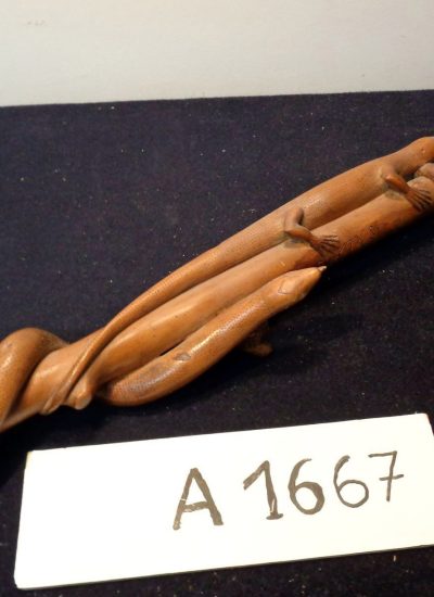 A1667-canne A1667-canne